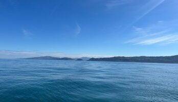 Stage croisière débutant niv 1/2 – 3 à 5 jours